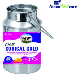 XORICAL 5 LITRE DOLU