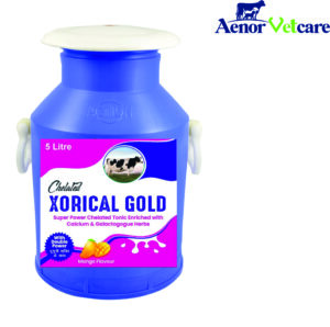 XORICAL GOLD 5 LITRE CAN