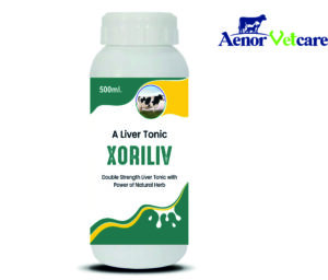 XORILIV 500ML SYP