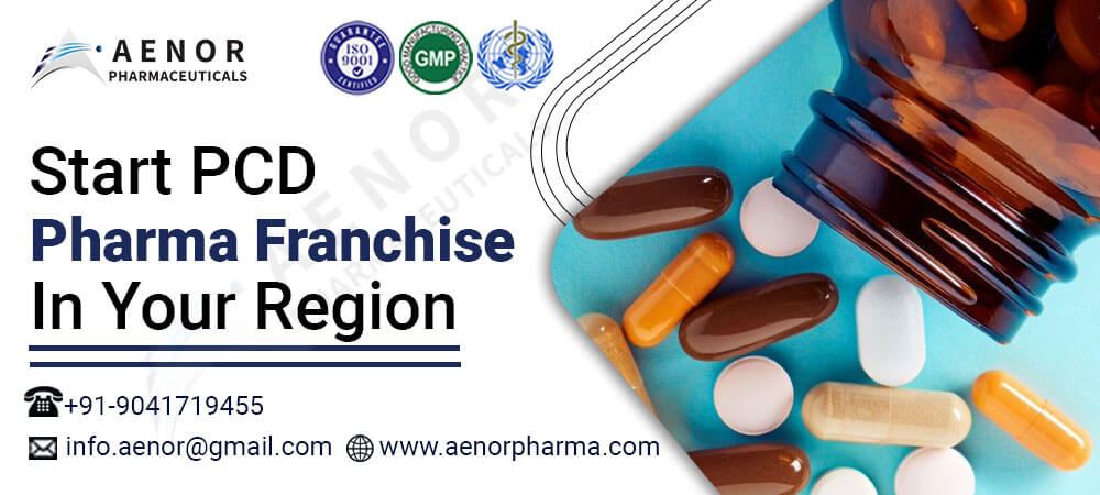 Elevate Your Business with the Best PCD Pharma Franchise in India: A Comprehensive Guide