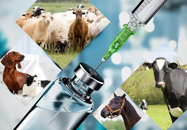Veterinary manufacturing company