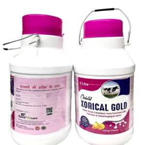XORICAL GOLD