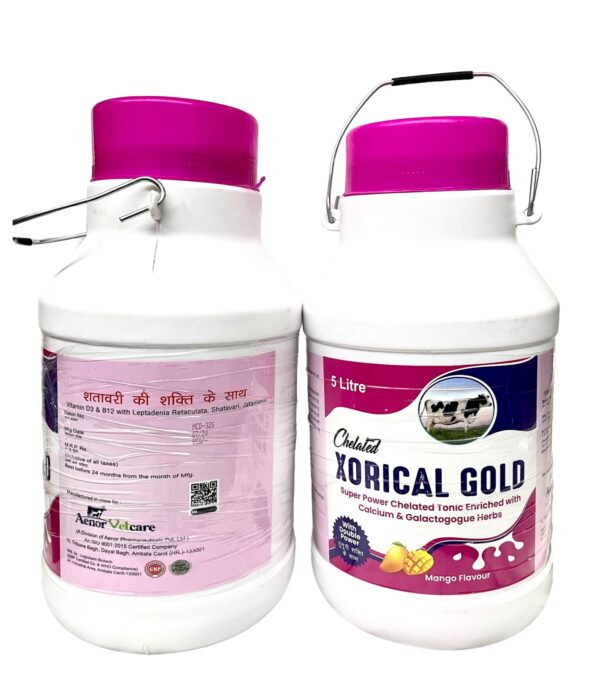 XORICAL GOLD
