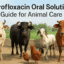 Enrofloxacin Oral Solution Guide for Animal Care